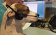 Ballina Veterinary Hospital - thumb 1