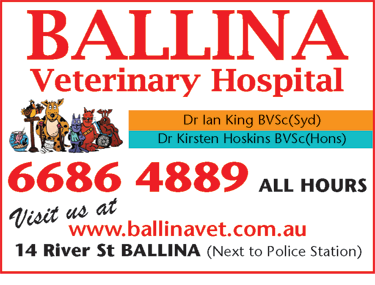 Ballina Veterinary Hospital - VETS Brisbane 6