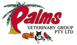 Paluma QLD VETS Brisbane
