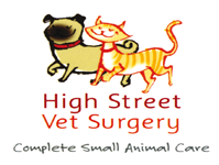 Birch Baker Jocelyn (Veterinary Surgeon) - VETS Brisbane 0