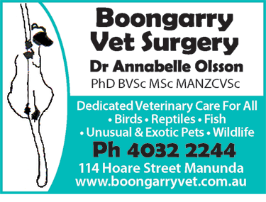 Boongarry Vet Surgery - VETS Brisbane 3