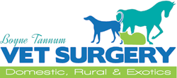 Boyne Tannum Veterinary Surgery - VETS Brisbane 0