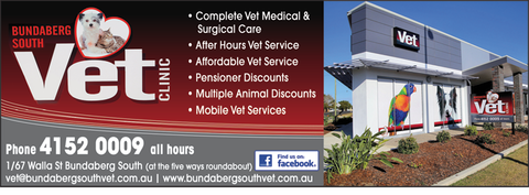 Bundaberg South Vet Clinic - VETS Brisbane 6
