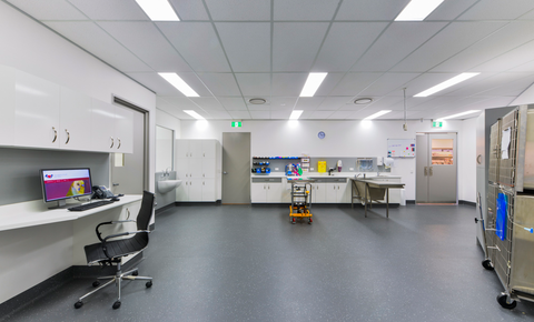 Bundaberg South Vet Clinic - VETS Brisbane 7