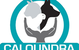 Caloundra Vet - thumb 0