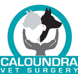 Caloundra Vet - VETS Brisbane