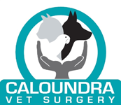 Caloundra Vet - VETS Brisbane 0
