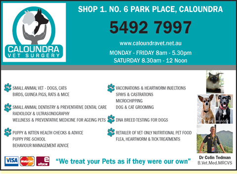 Caloundra Vet - VETS Brisbane 4
