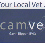 Camvet - VETS Brisbane