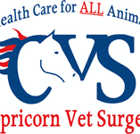 Capricorn Vet Surgery - VETS Brisbane