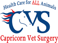 Capricorn Vet Surgery - VETS Brisbane 0