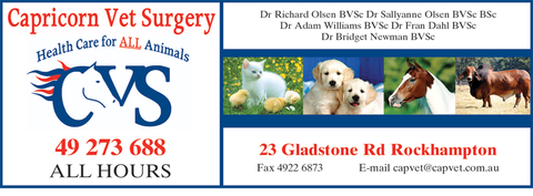 Capricorn Vet Surgery - VETS Brisbane 4