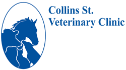 Collins St Veterinary Clinic - VETS Brisbane 0