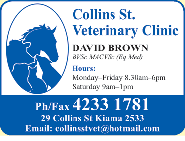Collins St Veterinary Clinic - VETS Brisbane 1