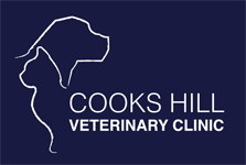 Cooks Hill Veterinary Clinic - VETS Brisbane 0