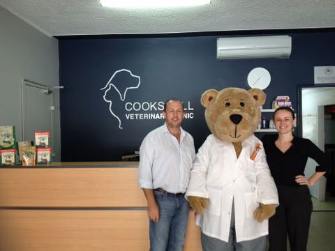 Cooks Hill Veterinary Clinic - VETS Brisbane 1