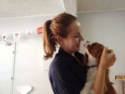 Cooks Hill Veterinary Clinic - VETS Brisbane 5