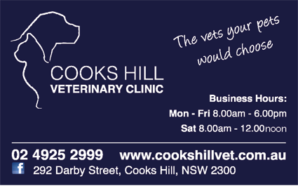 Cooks Hill Veterinary Clinic - VETS Brisbane 6