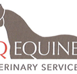 CQ Equine Veterinary Service - VETS Brisbane