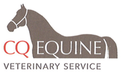 CQ Equine Veterinary Service - VETS Brisbane 0