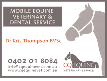 CQ Equine Veterinary Service - VETS Brisbane 1