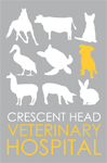 Crescent Head Veterinary Hospital - VETS Brisbane 0