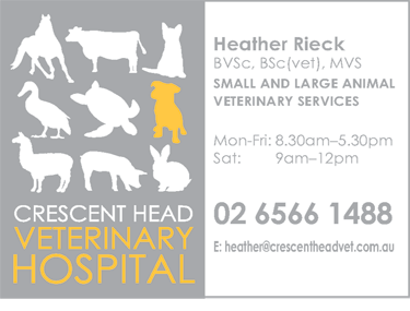 Crescent Head Veterinary Hospital - VETS Brisbane 1