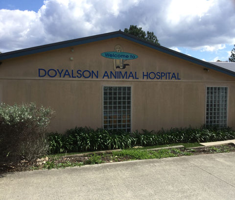 Doyalson Animal Hospital - VETS Brisbane 1