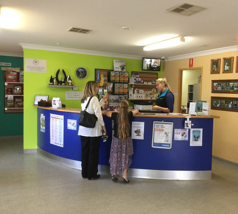 Doyalson Animal Hospital - VETS Brisbane 2