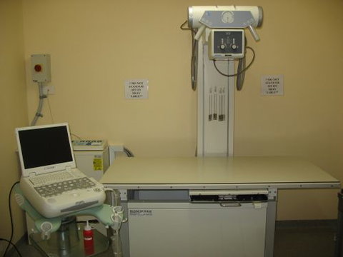 Doyalson Animal Hospital - VETS Brisbane 4