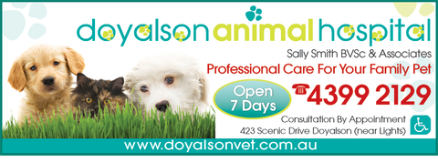 Doyalson Animal Hospital - VETS Brisbane 6