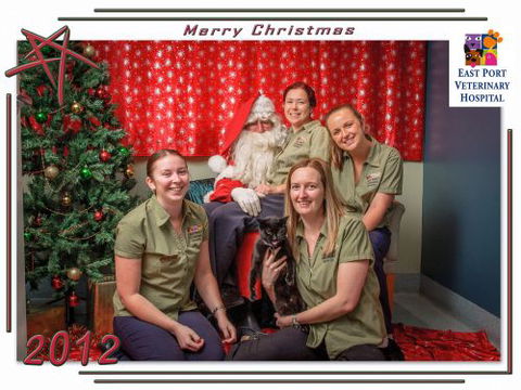 East Port Veterinary Hospital - VETS Brisbane 1