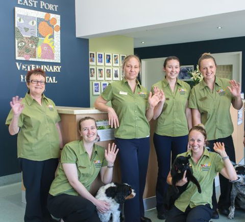 East Port Veterinary Hospital - VETS Brisbane 2