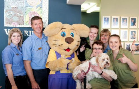 East Port Veterinary Hospital - VETS Brisbane 3