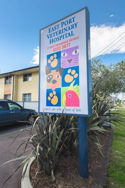 East Port Veterinary Hospital - VETS Brisbane 5