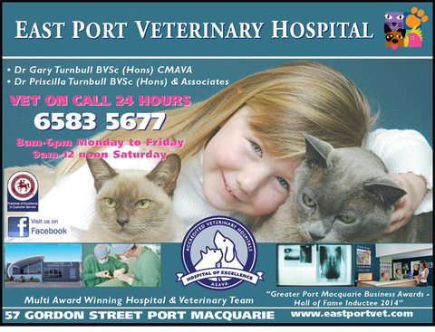 East Port Veterinary Hospital - VETS Brisbane 6