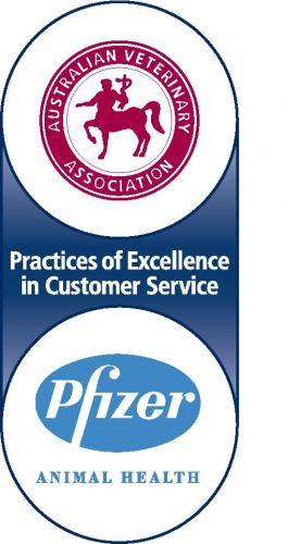 East Port Veterinary Hospital - VETS Brisbane 8