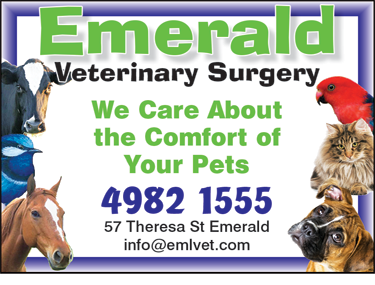 Emerald Veterinary Surgery, Boarding Kennel & Cattery - VETS Brisbane 1