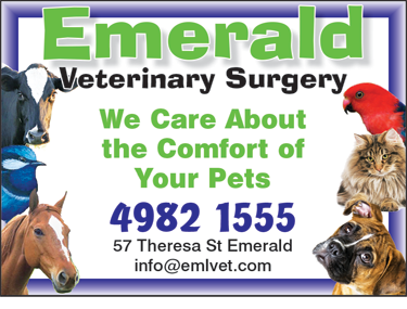 Emerald Veterinary Surgery, Boarding Kennel & Cattery - VETS Brisbane 2