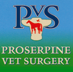  VETS Brisbane