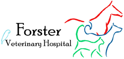 Forster Veterinary Hospital - VETS Brisbane 0