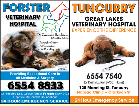 Forster Veterinary Hospital - VETS Brisbane 1