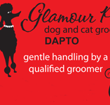Glamour Pets - VETS Brisbane