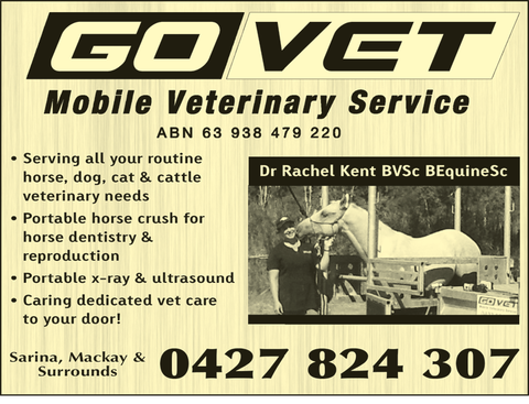 Go Vet Mobile Veterinary Service - VETS Brisbane 1