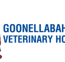 Goonellabah Veterinary Hospital - VETS Brisbane