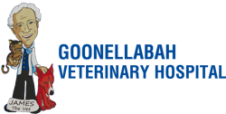 Goonellabah Veterinary Hospital - VETS Brisbane 0