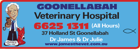 Goonellabah Veterinary Hospital - VETS Brisbane 1