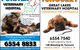 Great Lakes Veterinary Hospital - thumb 2
