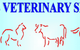 Gympie Veterinary Services - thumb 0
