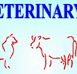 Gympie Veterinary Services - VETS Brisbane
